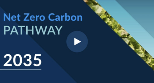 Net Zero Carbon Thumbnail