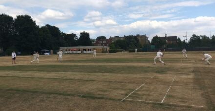 Image for Palmer Capital held their annual cricket match