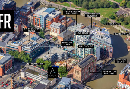 Image for Demographics UK: Cross currents