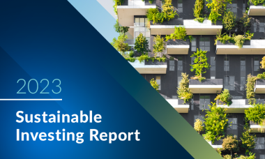 Image for FRE UK Sustainable Investing Report