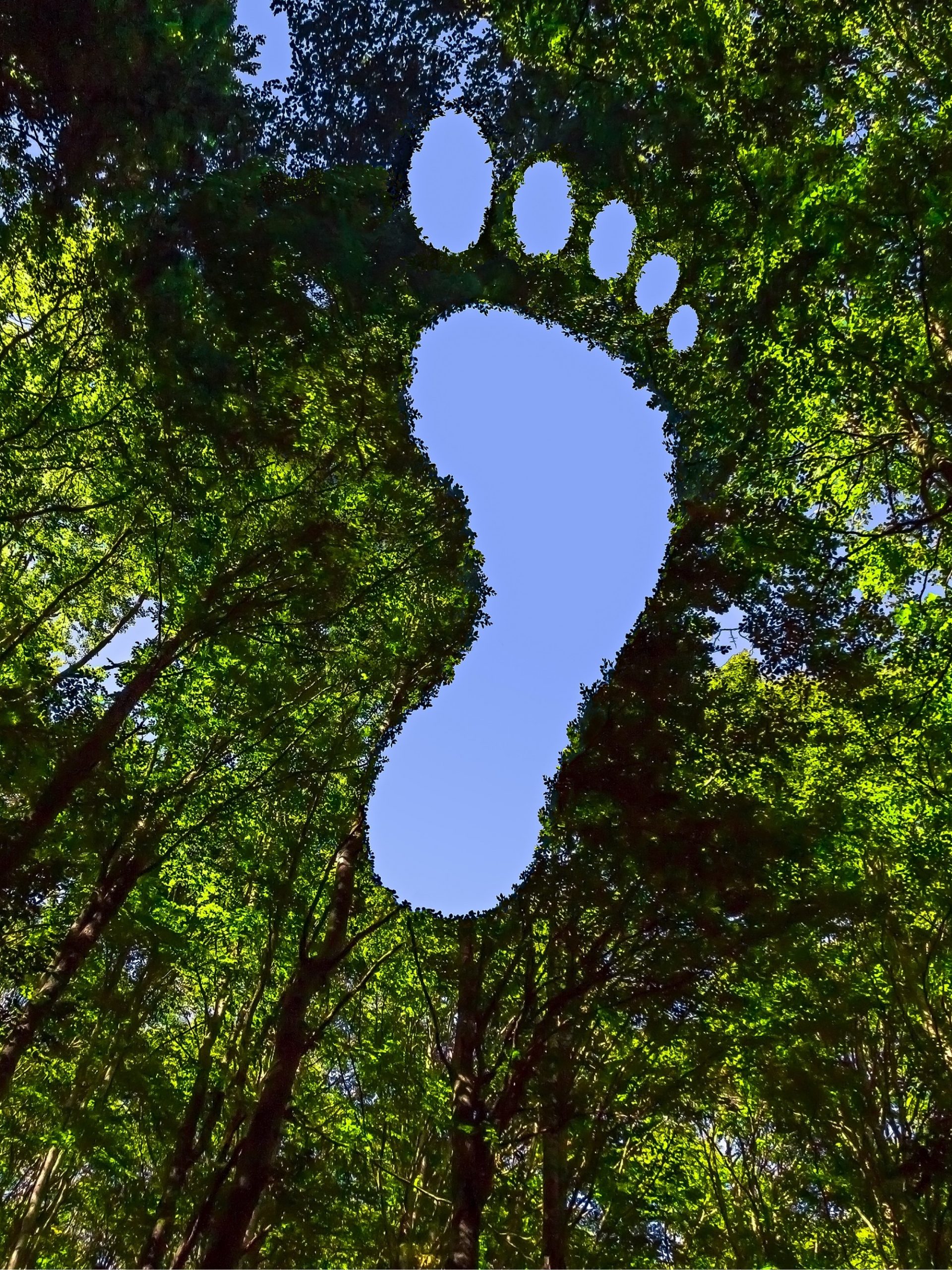 Image for 2020 Carbon Footprint Factsheet